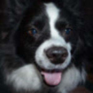 Meet your Posher, Debra